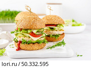 Chicken hamburgers, sandwich with chicken burger, cheese, tomato, cucumber, fresh lettuce, microgreen and ketchup on white background. Стоковое фото, агентство Ingram Publishing / Фотобанк Лори