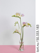 blossom flowers vase table (1) Стоковое фото, агентство Ingram Publishing / Фотобанк Лори