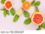 slices fresh exotic fruits green foliage. Стоковое фото, агентство Ingram Publishing / Фотобанк Лори