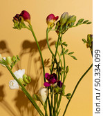top view blooming flowers 1. Стоковое фото, агентство Ingram Publishing / Фотобанк Лори