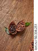 From above of composed halves of organic pods filled with piles of unpeeled and peeled cocoa beans placed on wooden surface with green leaves. Halved cocoa pods with peeled and unpeeled beans. Стоковое фото, агентство Ingram Publishing / Фотобанк Лори