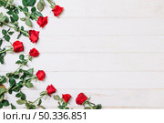 roses lying semicircle. Стоковое фото, агентство Ingram Publishing / Фотобанк Лори