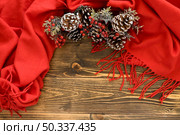 flat lay cute winter pine cones red scarf. Стоковое фото, агентство Ingram Publishing / Фотобанк Лори