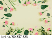 green eucalyptus populus leaves pink carnations eustoma flowers with space center yellow background. Стоковое фото, агентство Ingram Publishing / Фотобанк Лори