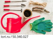 gardening equipment watering can peat pot secateurs rope gardening gloves concrete backdrop. Стоковое фото, агентство Ingram Publishing / Фотобанк Лори