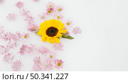 delicate yellow pink flowers floating water. Стоковое фото, агентство Ingram Publishing / Фотобанк Лори