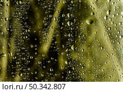 close up raindrops blurred background. Стоковое фото, агентство Ingram Publishing / Фотобанк Лори