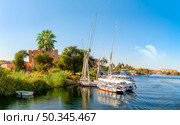Sailing on river Nile in Aswan, Egypt. Стоковое фото, агентство Ingram Publishing / Фотобанк Лори