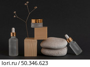 transparent skin oil droppers arrangement with skin care cream recipient. Стоковое фото, агентство Ingram Publishing / Фотобанк Лори