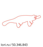 Neon platypus or duckbill red color vector illustration image flat style light. Neon platypus or duckbill red color vector illustration image flat style. Стоковая иллюстрация, агентство Ingram Publishing / Фотобанк Лори
