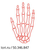 Neon hand bone red color vector illustration image flat style light. Neon hand bone red color vector illustration image flat style. Стоковая иллюстрация, агентство Ingram Publishing / Фотобанк Лори