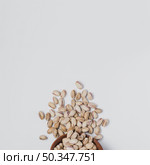 from spilled pistachios. Стоковое фото, агентство Ingram Publishing / Фотобанк Лори