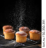 powdered sugar poured muffin. Стоковое фото, агентство Ingram Publishing / Фотобанк Лори