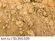 soil. Стоковое фото, агентство Ingram Publishing / Фотобанк Лори
