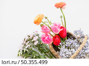 arrangement flowers basket white background. Стоковое фото, агентство Ingram Publishing / Фотобанк Лори