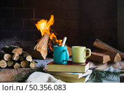 drinks books near flaming fireplace. Стоковое фото, агентство Ingram Publishing / Фотобанк Лори
