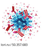 Antibody attacking virus cell and immune system or Immunoglobulin concept as antibodies attacking contagious virus cells and pathogens as a 3D illustration. Стоковое фото, агентство Ingram Publishing / Фотобанк Лори