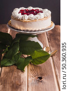 OLYMPUS DIGITAL CAMERA. side view mousse tart with tree branch. Стоковое фото, агентство Ingram Publishing / Фотобанк Лори