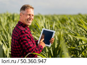 sideview man with tablet maize field mock up. Стоковое фото, агентство Ingram Publishing / Фотобанк Лори