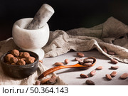 chocolate truffles bowl spoon with cocoa beans. Стоковое фото, агентство Ingram Publishing / Фотобанк Лори