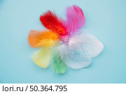multicolored feathers circle. Стоковое фото, агентство Ingram Publishing / Фотобанк Лори