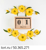 wooden calendar showing 1st march decorated with chamomile chrysanthemum flowers against white backdrop. Стоковое фото, агентство Ingram Publishing / Фотобанк Лори