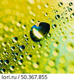 macro detail dew water droplet yellow shinning bokeh background. Стоковое фото, агентство Ingram Publishing / Фотобанк Лори