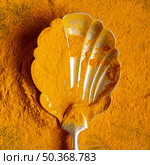 close up spoon with turmeric. Стоковое фото, агентство Ingram Publishing / Фотобанк Лори