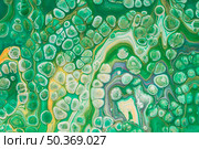 emerald green bubbles acrylic painting. Стоковое фото, агентство Ingram Publishing / Фотобанк Лори