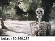 skeleton leaned tree park. Стоковое фото, агентство Ingram Publishing / Фотобанк Лори