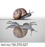 Potential metaphor and inner power concept as a symbol for motivational feeling and the power within as a slow snail with a reflection of a fast cheetah shape in a 3D illustration style. . Стоковое фото, агентство Ingram Publishing / Фотобанк Лори