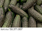 delicious cucumbers arrangement. Стоковое фото, агентство Ingram Publishing / Фотобанк Лори