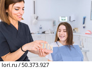 female dentist showing teeth model female patient dental clinic. Стоковое фото, агентство Ingram Publishing / Фотобанк Лори