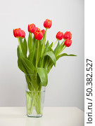 A beautiful vase of orange tulips isolated on white. Стоковое фото, агентство Ingram Publishing / Фотобанк Лори