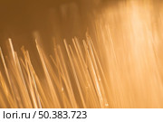 abstract wheat optical fibers light. Стоковое фото, агентство Ingram Publishing / Фотобанк Лори