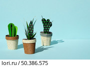 OLYMPUS DIGITAL CAMERA. cute paper cut style artificial cacti. Стоковое фото, агентство Ingram Publishing / Фотобанк Лори