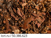 dry vegetation close up. Стоковое фото, агентство Ingram Publishing / Фотобанк Лори