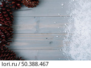 snags ornamental snow. Стоковое фото, агентство Ingram Publishing / Фотобанк Лори