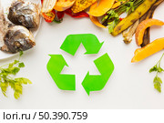 arrangement cooked fish leftovers recycle symbol. Стоковое фото, агентство Ingram Publishing / Фотобанк Лори