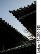 asian touristic attraction place 25. Редакционное фото, агентство Ingram Publishing / Фотобанк Лори