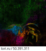 bright rangoli colors spread black surface. Стоковое фото, агентство Ingram Publishing / Фотобанк Лори
