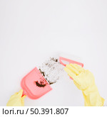close up yellow gloved hands sweeping dust into dustpan white background. Стоковое фото, агентство Ingram Publishing / Фотобанк Лори
