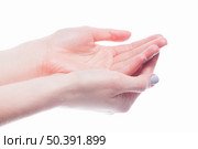 cupped hands woman. Стоковое фото, агентство Ingram Publishing / Фотобанк Лори