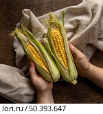 top view person holding corn. Стоковое фото, агентство Ingram Publishing / Фотобанк Лори