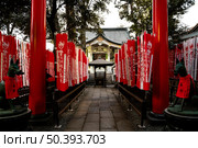 touristic attraction place visit 13. Стоковое фото, агентство Ingram Publishing / Фотобанк Лори