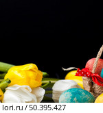 close up tulips eggs black. Стоковое фото, агентство Ingram Publishing / Фотобанк Лори