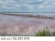 Розовое солёное озеро в Крыму. Стоковое фото, фотограф Snezka / Фотобанк Лори