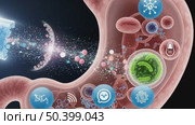 Digital illustration of a human stomach with a capsule releasing particles. Various health-related icons are visible, representing digestion and wellness concepts. Стоковое видео, видеограф Ольга Невская / Фотобанк Лори