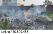 Fire burning dry grass near residential building creating smoke and pollution. Стоковое видео, видеограф Mikhail Davidovich / Фотобанк Лори