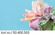 pretty macro bloomed flower 5. Стоковое фото, агентство Ingram Publishing / Фотобанк Лори